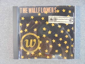 CD輸入盤　The Wallflowers 「Bringing Down The Horse」　中古良品