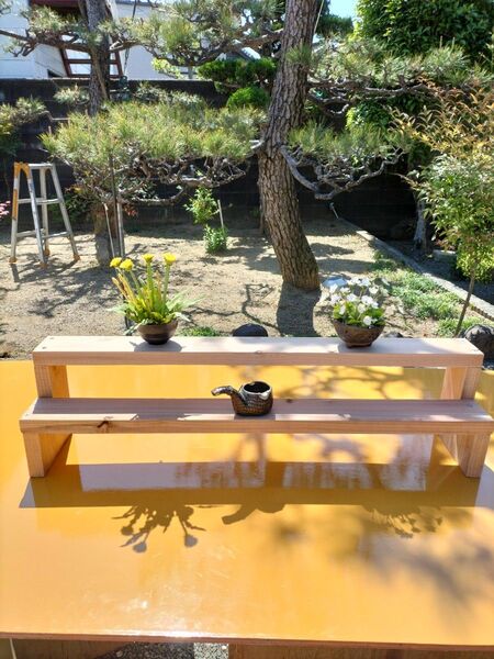 ウッドプランター 多肉植物 植物棚