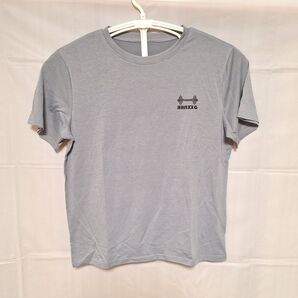 テム(Temu) Tシャツ メンズ Mサイズ グレー ポリエステル 中国製