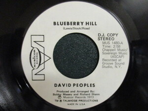 David Peoples ： Blueberry Hill 7'' / 45s ★ '73 Soulful バラード ☆ シングル盤 / EP