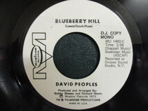 David Peoples ： Blueberry Hill 7'' / 45s ★ '73 Soulful バラード ☆ シングル盤 / EP_画像2