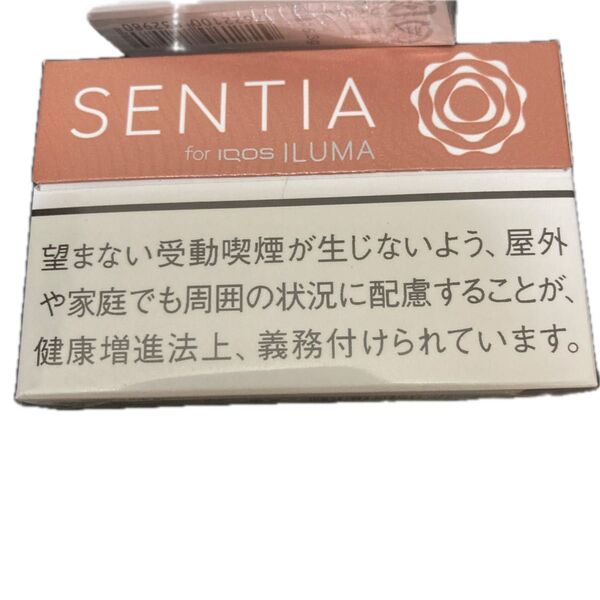 センティア空箱10個