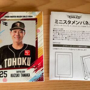 楽天イーグルスミニスタメンパネル 田中25