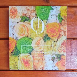 骨盤エアリープレミアムショーツ 芦屋美整体 M ベージュ