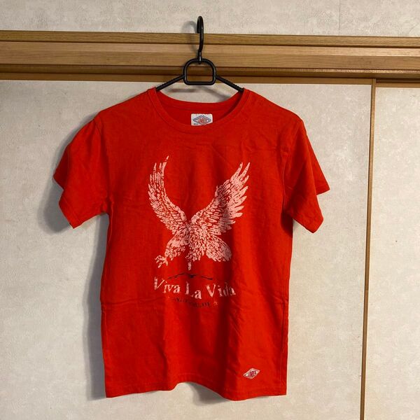 レディース半袖Tシャツ 半袖プリントTシャツ