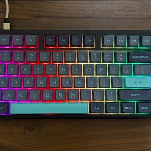 VGN V87 メカニカルキーボード ガスケットマウント ホットスワップ 南向きLED 箱潰れ VXE ATK