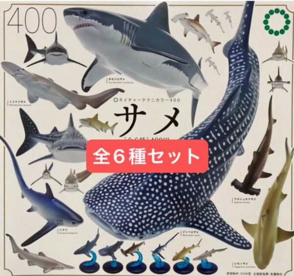 いきもん ネイチャーテクニカラー400 サメ 全6種コンプリートセット ②