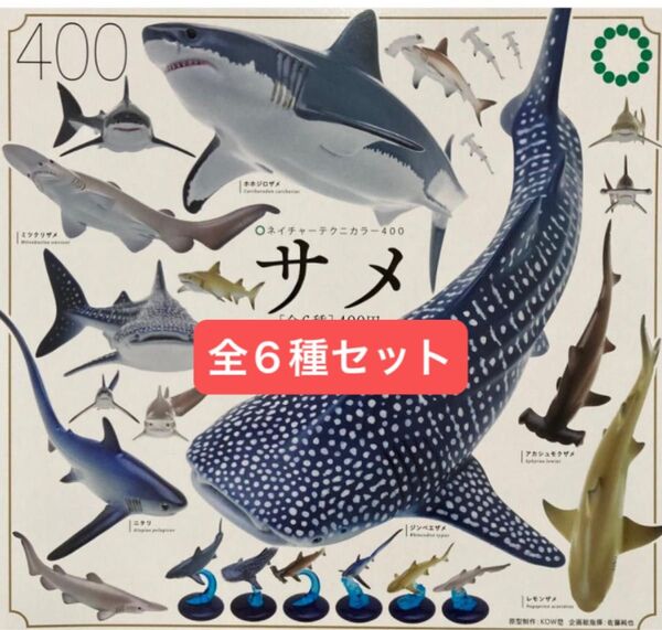 いきもん ネイチャーテクニカラー400 サメ 全6種コンプリートセット ①