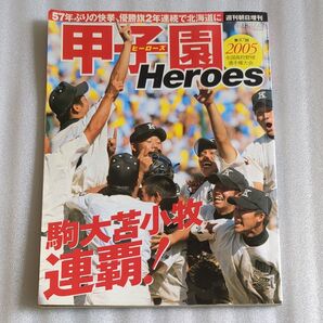 甲子園ヒーローズ2005