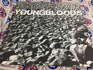 The Youngbloods★中古LP/USオリジナル盤「ヤングブラッズ～Rock Festival」