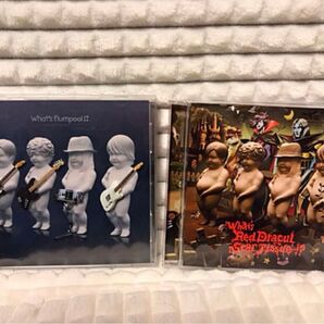 初回盤のWhat's flumpool!?とRed Dracul Scar Tissue!? のセット