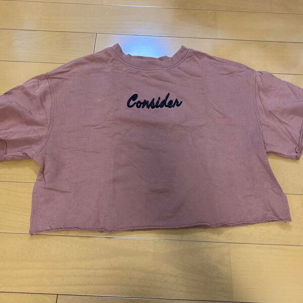 半袖 Tシャツ カットソー クロップド丈 ショート丈 切りっぱなし