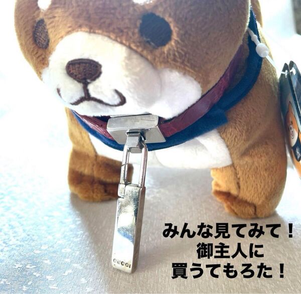 元GUCCIレディースベルト わんちゃん、ねこちゃんの首輪 リペア品 ハンドメイド