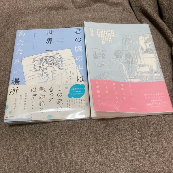 ・君の腕の中は世界一あたたかい場所 ・今日が地獄になるかは君次第だけど救ってくれるのも君だから ふせでぃ/著 2冊セット