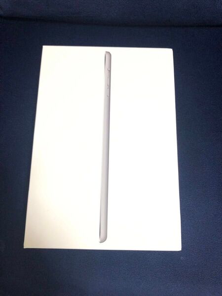 iPad mini 空箱 充電コンセント付き