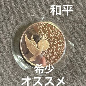 希少!1973年国連平和コイン。ブロンズ製。