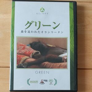 グリーン 森を追われたオランウータン/ドキュメントバラエティ (ドキュメンタリー) DVD