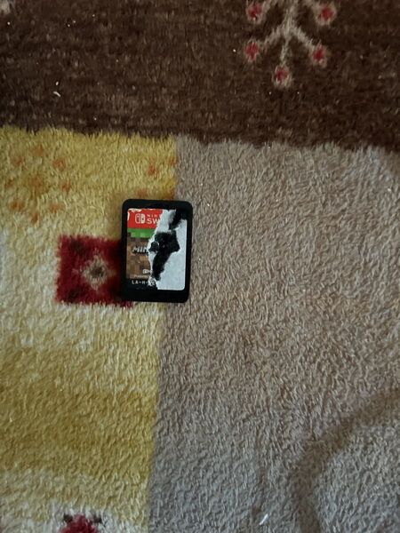 マイクラSwitch