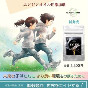 【送料無料】エンジンオイル添加剤 エンジン潤滑剤 SPICE UP スパイスアップ 4g×2袋 フッ素未使用