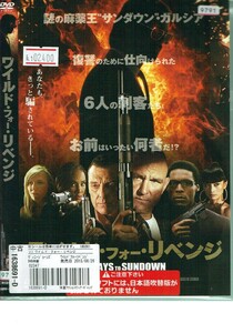 No1_02400 DVD ワイルド・フォー・リベンジ ヴィニー・ジョーンズ ドミニク・スウェイン バイ・リン レン落