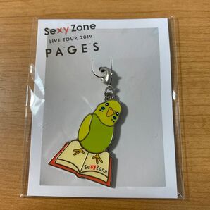 SexyZone 2019 PAGES チャーム
