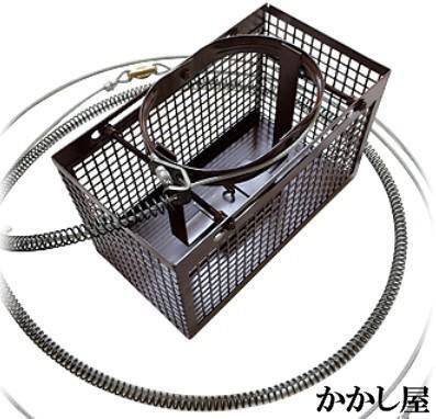 2025年最新】Yahoo!オークション -ハクビシン罠の中古品・新品 2025年最新】Yahoo!オークション -ハクビシン罠の中古品・新品