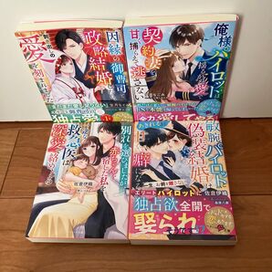 TL小説 因縁の御曹司と政略結婚したら、剥き出しの愛を刻まれました (ベリーズ文庫 ほ3-9) 宝月なごみ/著【3】