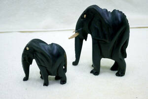 アフリカ 象 ゾウ 親子 ２頭 親の背は１０ｃｍ子の背は６ｃｍほど 