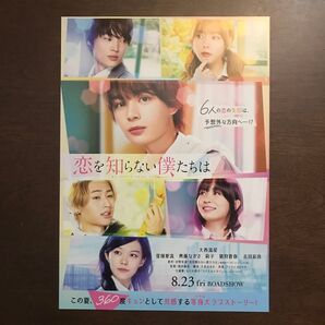 【映画チラシ】2024年8月23日公開 恋を知らない僕たちは 10枚