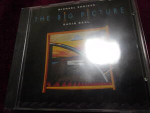 輸入美品 マイケル・シュリーヴ／BIG PICTURE MICHAEL SHRIEVE ex.サンタナバンド