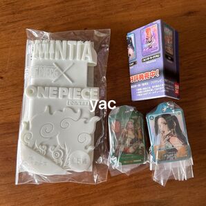 新品未使用 ワンピースカード ガチャ メタルチャーム ミンティアケース ニカ