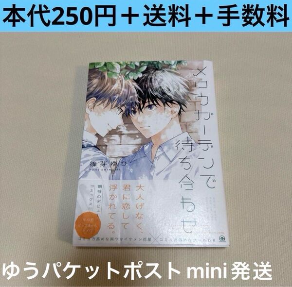 メロウガーデンで待ち合わせ 篠芽ゆひ BLコミック まとめ売り セット 漫画