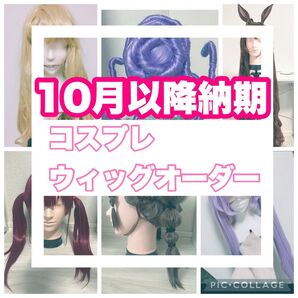コスプレウィッグオーダー