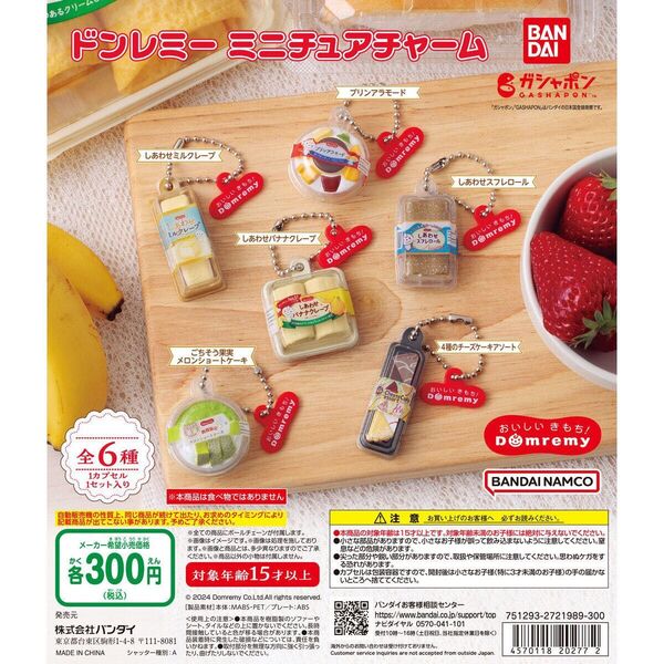 ★ドンレミーミニチュアチャーム★