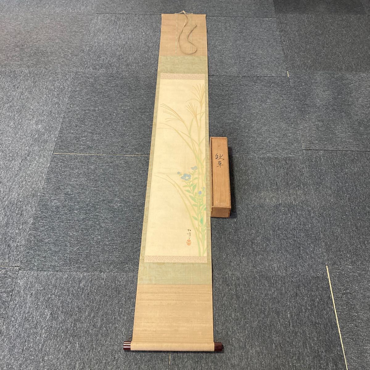 美品 掛け軸 柳沢寿江作 春宵図 桜 共箱 太巻き 縁起物 Q-8 柳沢寿江 桜 太巻 掛軸 共箱