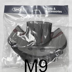 新型純正汎用センターパッド SHOEI ショウエイ X-11 X-9 マルチテック MULTITEC VFX-DT 使用可能 M9