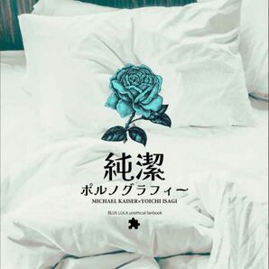 ブルーロック 同人誌 小説 カイ潔 kiis 純潔ポルノグラフィー