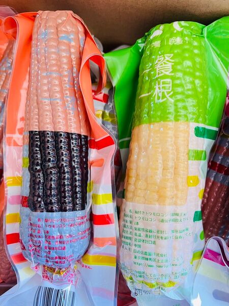 賞味期限更新★新入荷♪糯とうもろこし軸付き【白20本と黒20本】40本入り1ケース もち糯玉米棒 真空パック