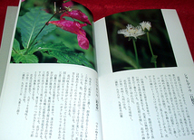  cp★九重花だより/四季を彩る山の花百種/写真・文=上野哲郎★_画像5