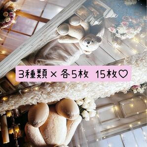 Jessica様 両面デザインペーパー くまちゃん 3種類×各5枚