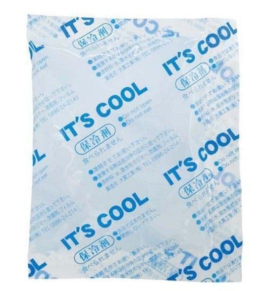 保冷剤 30グラム 90個ぐらい