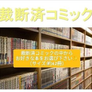 【裁断済】集英社コミック⑤
