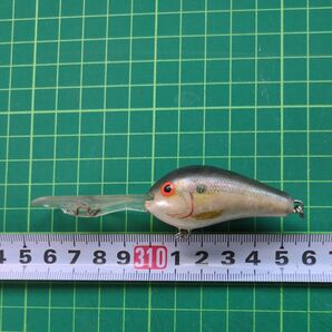 ラパラ(1) DOWNDEEP 55m/m IRELAND