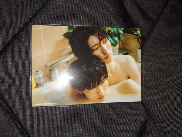 体感予報増子敦貴 樋口幸平 生写真 写真