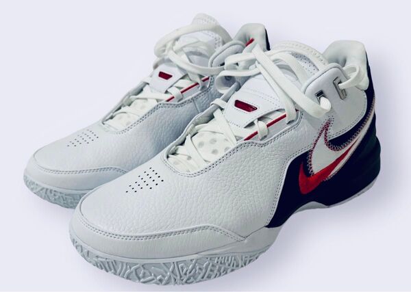 Nike Lebron NXXT Gen グローバルラスト 28cm