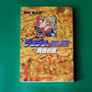 ジョジョの奇妙な冒険 30 (集英社文庫 コミック版) 荒木飛呂彦/著