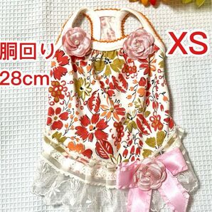 ②【犬服】キャミワンピ 赤 XSサイズ