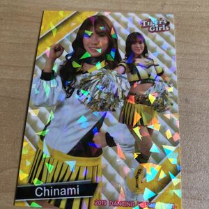 即決　2019 チアリーダーBBM 舞 ホロPPパラレルカード 阪神 Tigers Girls Chinami