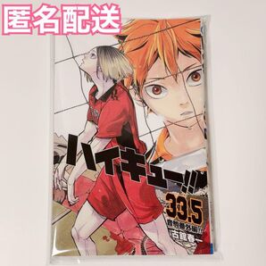 ハイキュー 特典 33.5巻