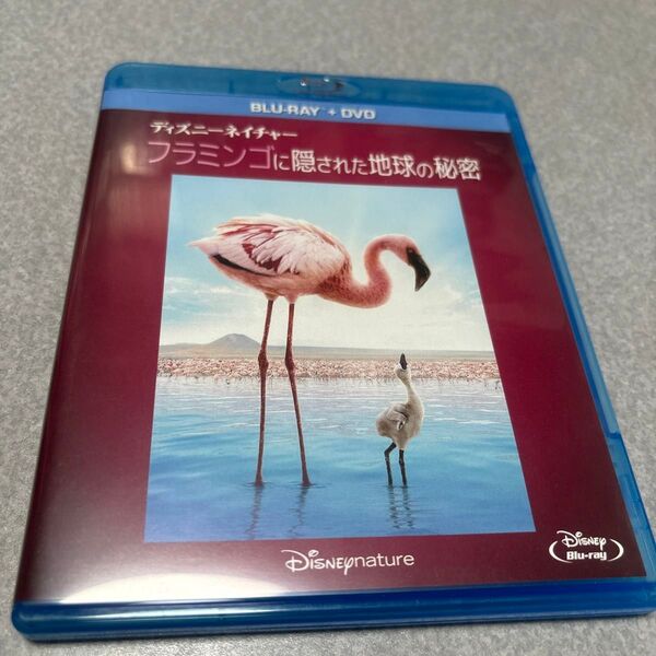 ディズニーネイチャー/フラミンゴに隠された地球の秘密 ブルーレイ+DVDセット (Blu−ray Disc) (ドキュメンタリー)